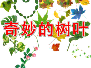 中班科学《奇妙的树叶》PPT课件教案中班科学课件奇妙的树叶.ppt