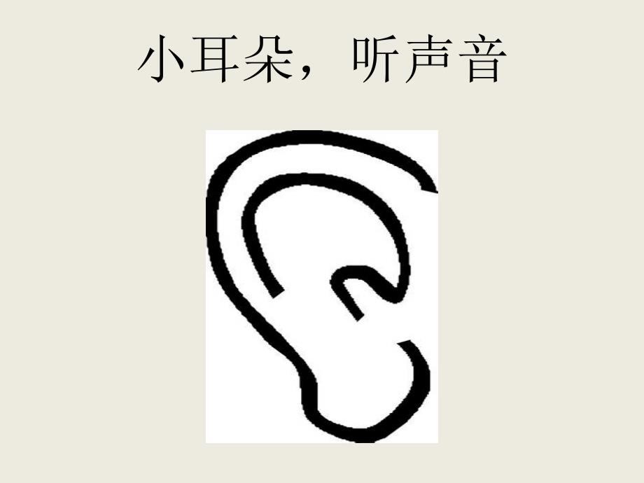 中班科学《五官本领大》PPT课件教案PPT课件.ppt_第3页