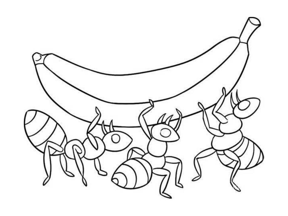 中班美术《画蚂蚁》PPT课件教案PPT课件.ppt_第3页