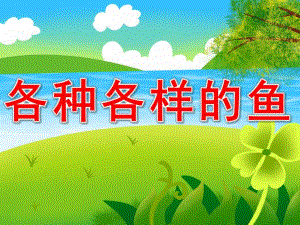 各种各样的鱼PPT课件教案图片PPT课件.ppt