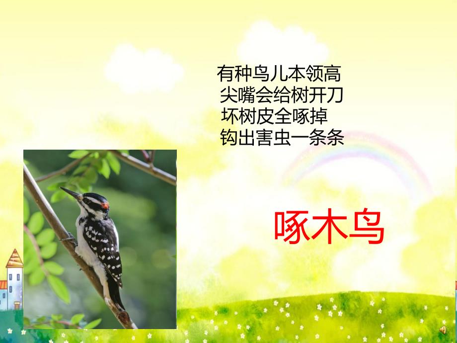 幼儿园动物儿歌《啄木鸟》PPT课件配音音乐PPT课件.pptx_第2页