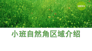幼儿园小班自然角区域介绍PPT课件小班自然角区域介绍.pptx