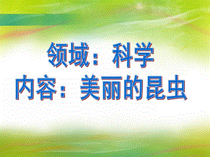 中班科学《美丽的昆虫》PPT课件教案幼儿园昆虫.ppt