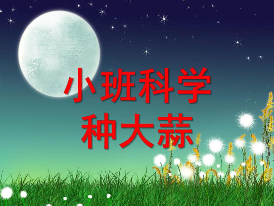 小班科学《种大蒜》PPT课件教案小班科学：种大蒜.pptx_第1页