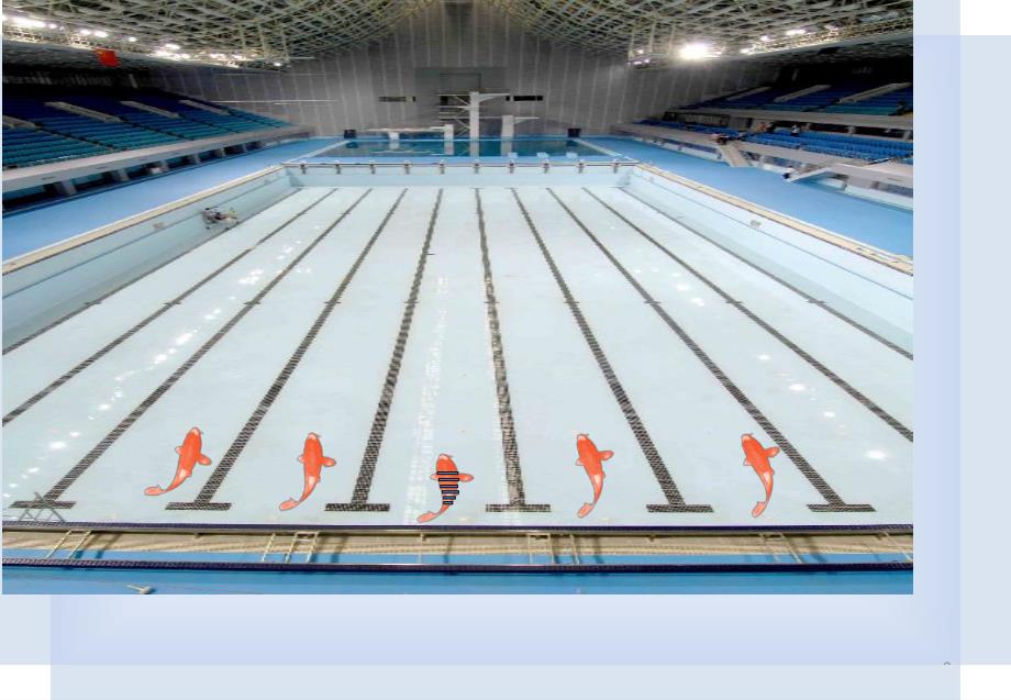 中班科学《动物的外衣》PPT课件中班科学《动物的外衣》.ppt_第3页