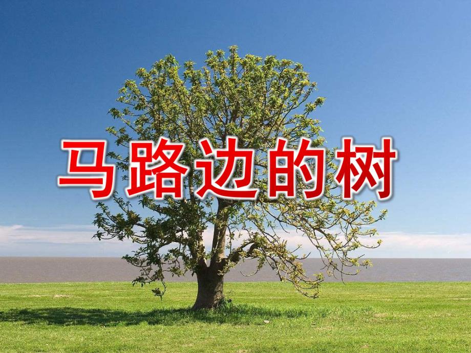 中班美术《马路边的树》PPT课件教案马路边的树.ppt_第1页