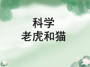 中班科学《老虎和猫》PPT课件中一班科学老虎和猫课件.ppt