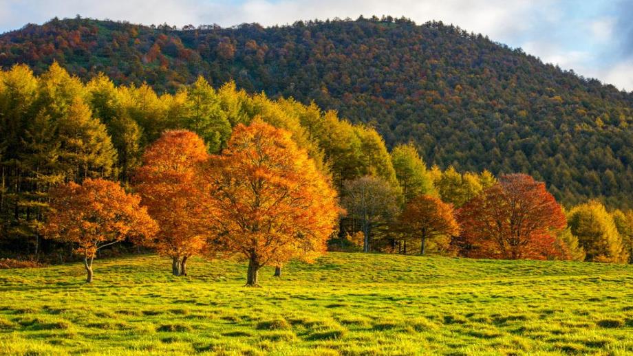 中班数学活动《小动物乘火车》PPT课件教案PPT课件.ppt_第2页