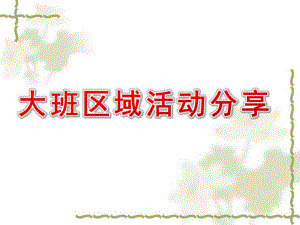 幼儿园大班区域活动分享PPT课件大班区域活动分享.pptx