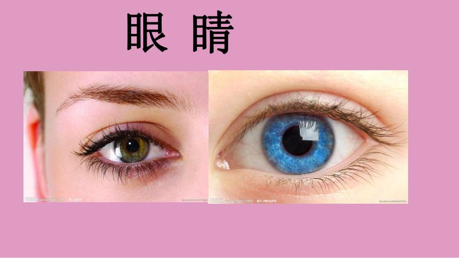 中班科学《有趣的洞洞》PPT课件中班科学《有趣的洞洞》PPT课件.ppt_第3页