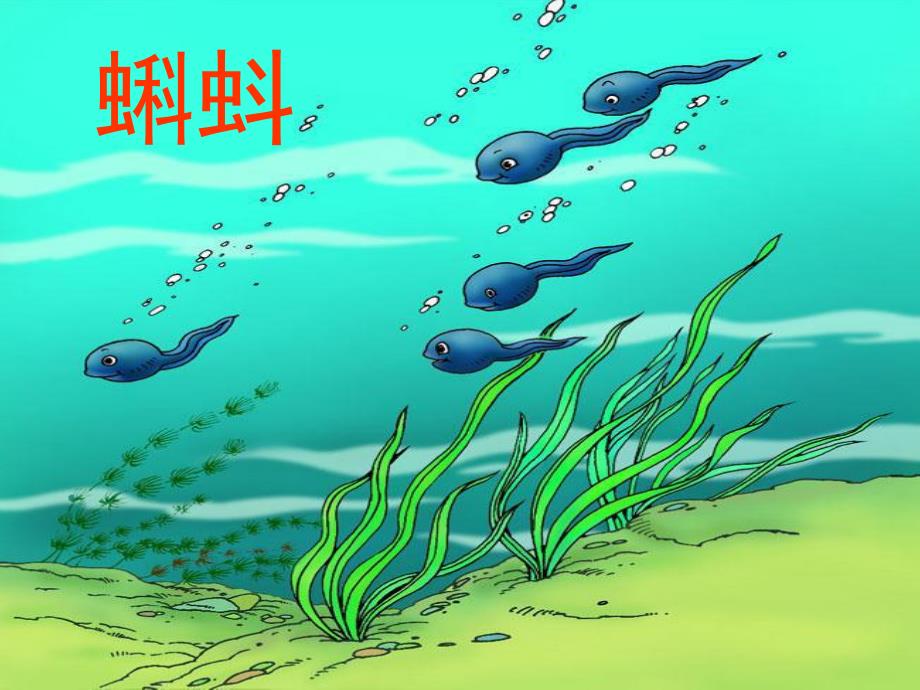 中班科学活动《长大变变变》PPT课件教案幼儿园中班科学活动：长大变变变.ppt_第3页