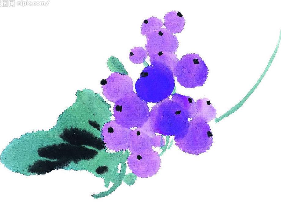 中班水墨画《葡萄》PPT课件教案水墨画葡萄.ppt_第2页