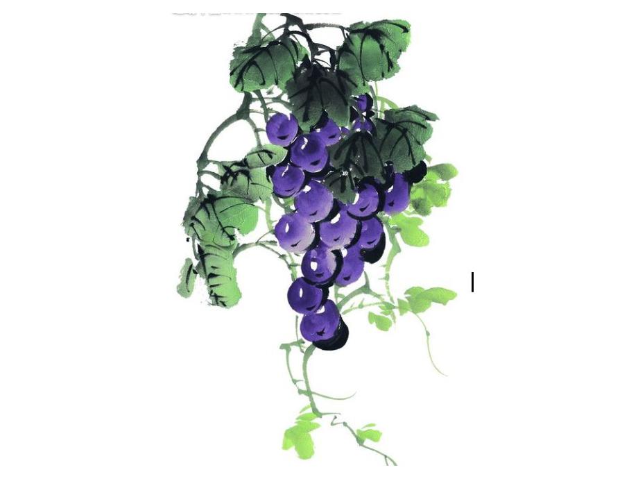 中班水墨画《葡萄》PPT课件教案水墨画葡萄.ppt_第3页