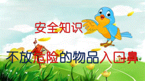 幼儿园安全不放危险的物品入口鼻PPT课件幼儿园安全不放危险的物品入口鼻PPT课件.pptx