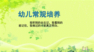 幼儿园常规培养PPT课件幼儿常规培养.pptx