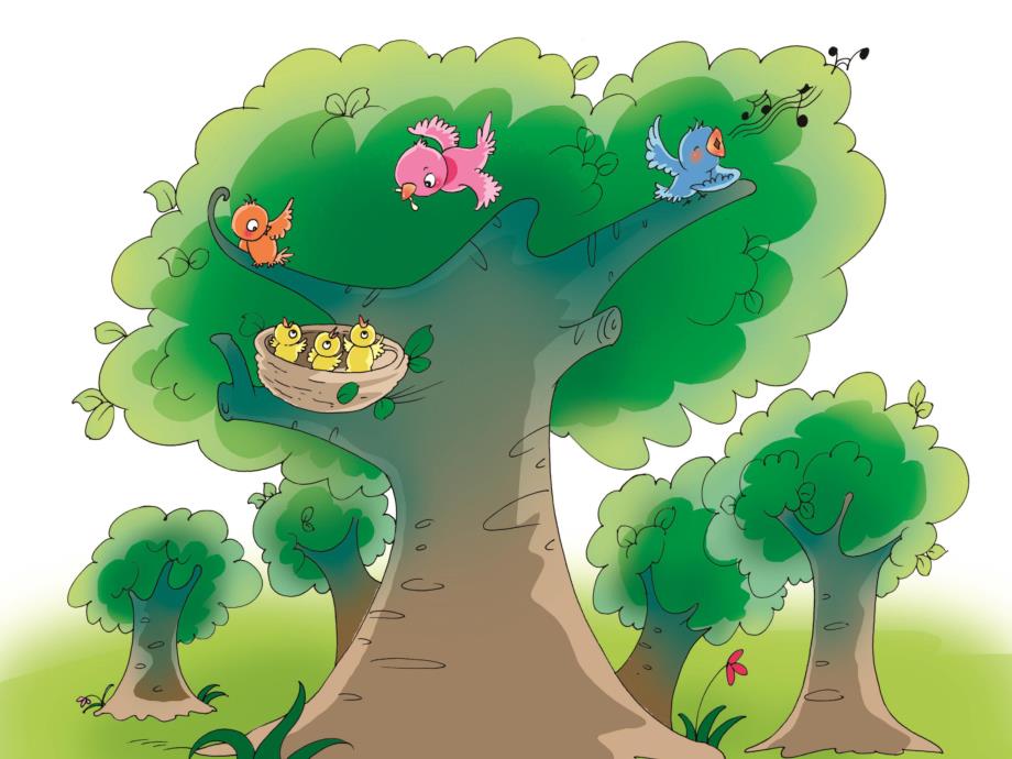 树真好PPT课件教案图片大班语言《树真好》.pptx_第3页