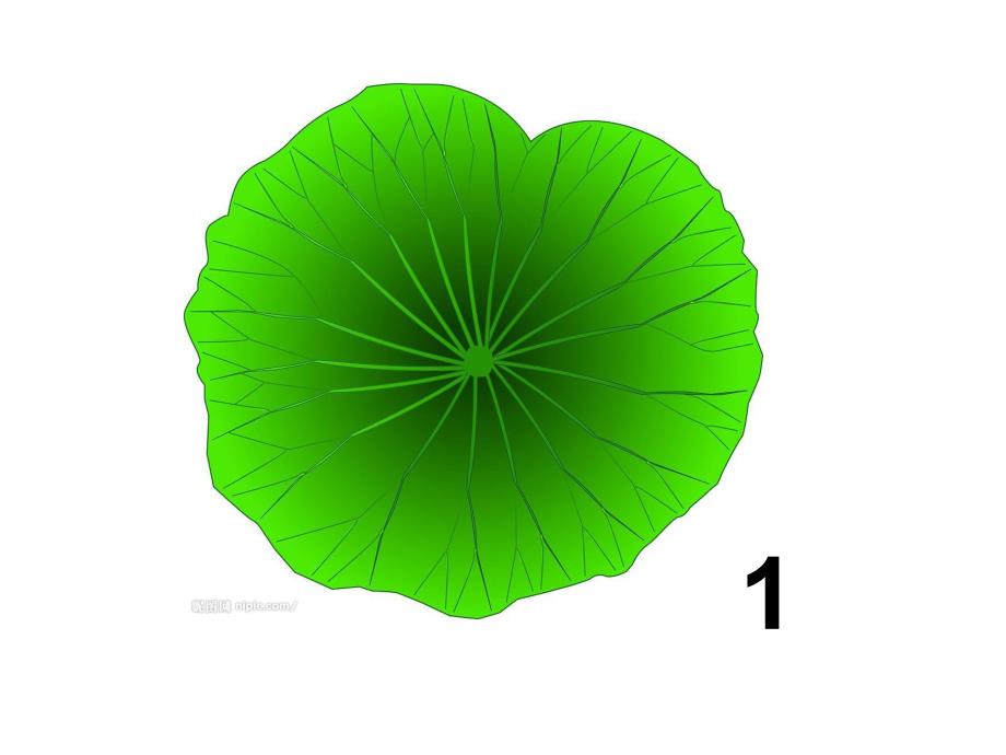 小青蛙过河PPT课件教案图片小青蛙过河.pptx_第3页