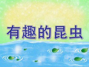 有趣的昆虫简介展示PPT课件教案图片有趣的昆虫.pptx