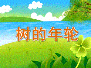幼儿园树的轮PPT课件教案PPT课件.pptx