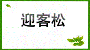 小班美术《迎客松》PPT课件小班安徽迎客松.pptx