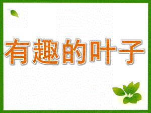 有趣的叶子PPT课件教案图片PPT课件.pptx