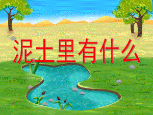 中班科学《土里有什么》PPT课件教案泥土里有什么__中班科学.ppt