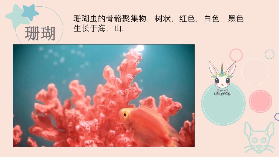 幼儿园动物王国PPT课件教案图片幼儿园ppt课件动物王国.pptx_第3页