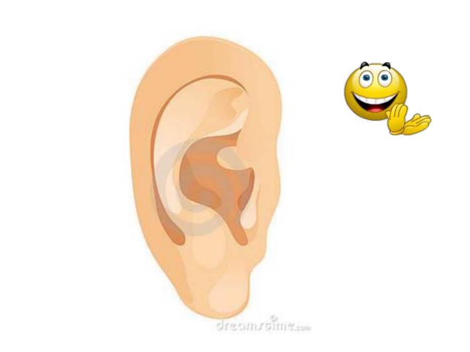 中班健康教育《有用的耳朵》PPT课件教案音频PPT课件.ppt_第3页