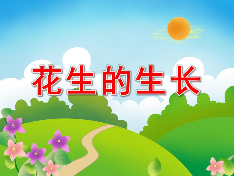 幼儿科学活动《花生的生长》PPT课件教案花生生长过程(幼儿园.pptx_第1页