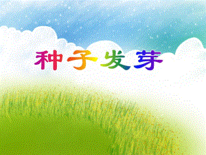 中班科学活动《种子发芽》PPT课件教案PPT课件.ppt