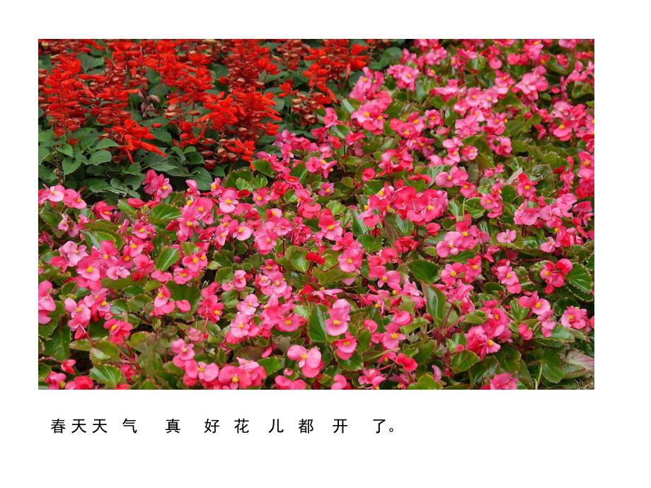 小班音乐《春天天气真好》PPT课件教案歌曲春天天气真好.pptx_第2页