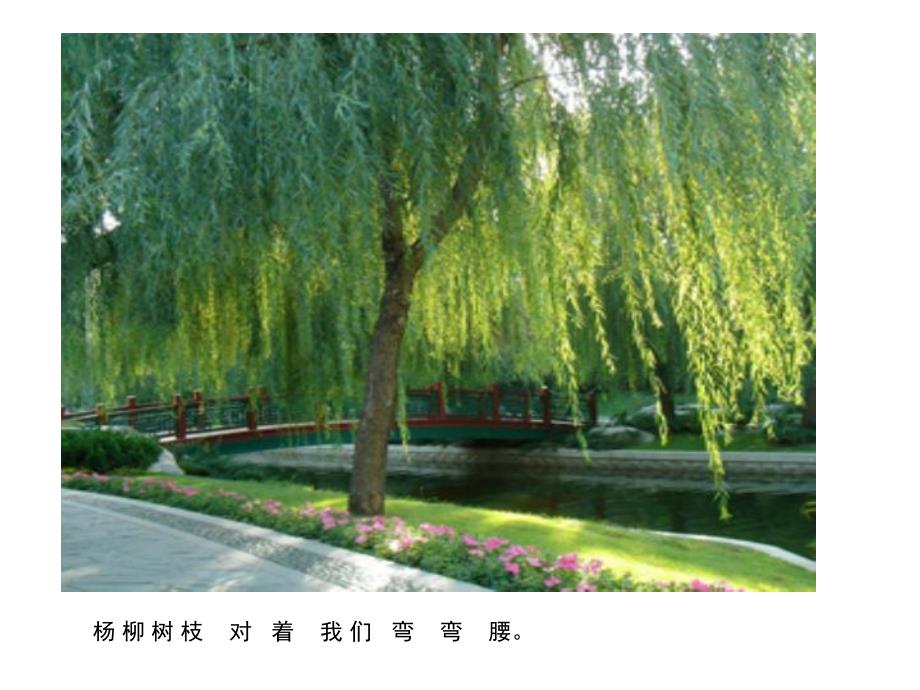 小班音乐《春天天气真好》PPT课件教案歌曲春天天气真好.pptx_第3页