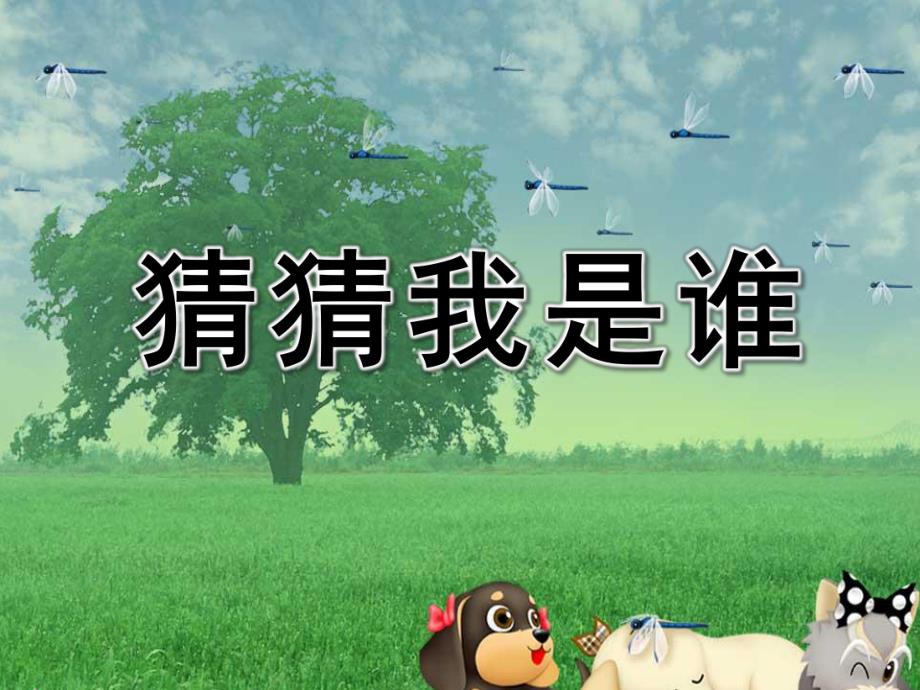 中班科学活动《猜猜我是谁》PPT课件教案.ppt_第1页