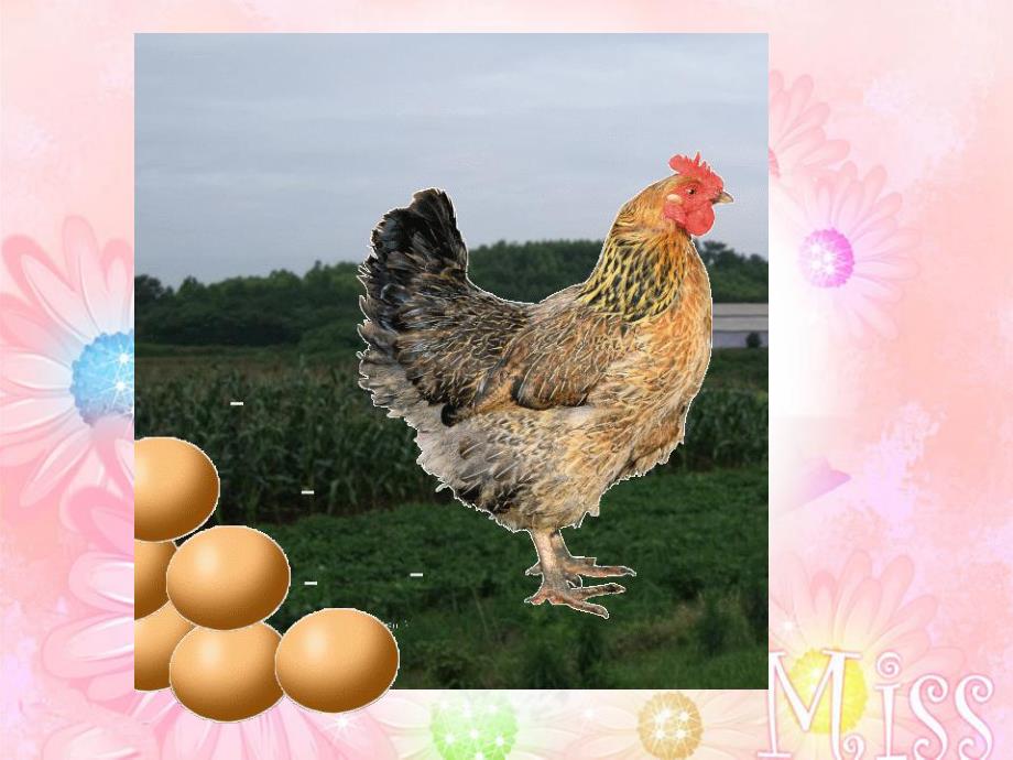 幼儿园科学《动物妈妈和宝宝》PPT课件教案动物妈妈和宝宝.pptx_第3页