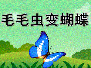 小班科学公开课《毛毛虫变蝴蝶》PPT课件教案PPT课件.pptx