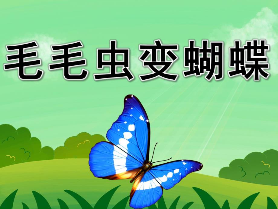 小班科学公开课《毛毛虫变蝴蝶》PPT课件教案PPT课件.pptx_第1页