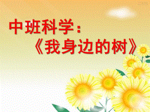 中班科学《我身边的树》PPT课件教案.ppt