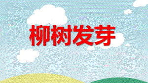 中班美术绘画活动《柳树发芽》PPT课件教案PPT课件.ppt