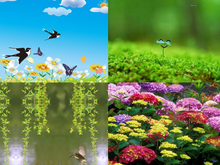 春天真美丽PPT课件教案图片ppt课件.pptx_第2页