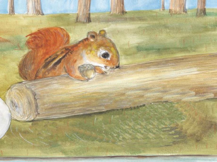 中班综合《很大很大的蛋》PPT课件教案中班综合《很大很大的蛋》微课件.ppt_第2页