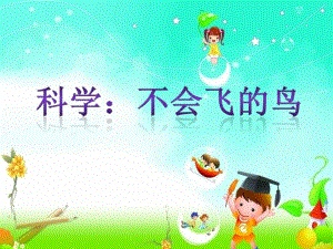 中班科学活动《不会飞的鸟》PPT课件教案中班科学-不会飞的鸟.ppt