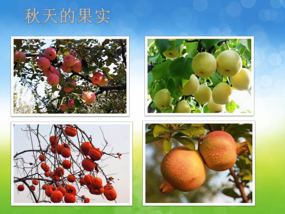 中班美术《多彩的天》PPT课件教案PPT课件.ppt_第3页