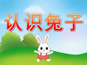 小班科学《认识兔子》PPT课件教案PPT课件.pptx