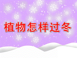 植物过冬PPT课件教案图片PPT课件.pptx