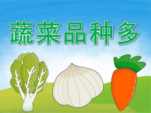 幼儿园蔬菜PPT课件教案PPT课件.pptx