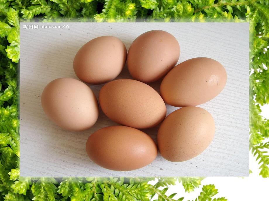 中班美术活动《蛋娃娃》PPT课件教案PPT课件.ppt_第2页