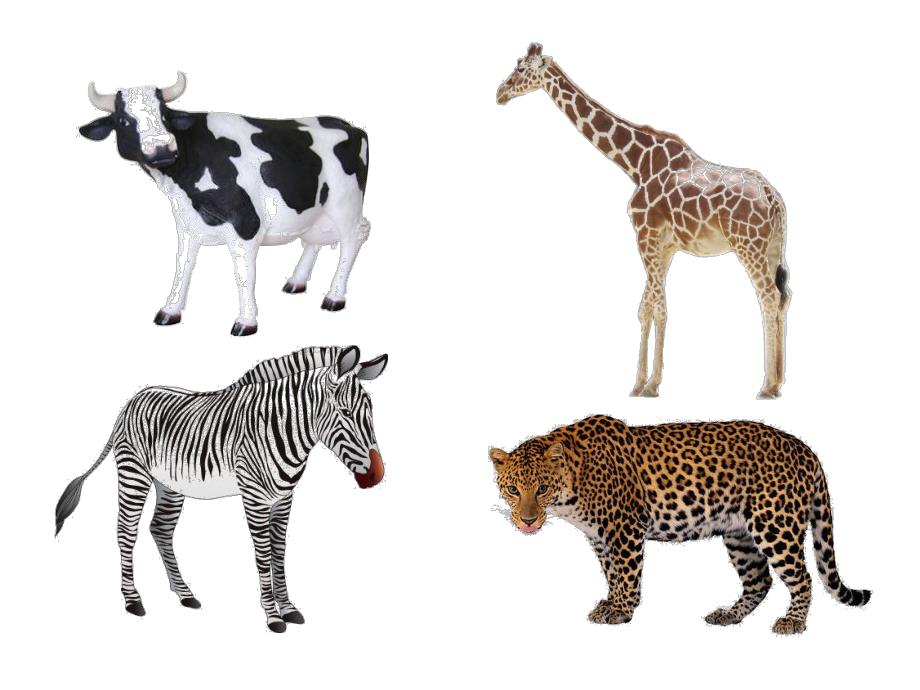 中班数学《谁的花纹》PPT课件教案PPT课件.ppt_第2页