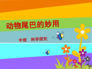 中班科学探究《动物尾巴的妙用》PPT课件动物尾巴的妙用.ppt