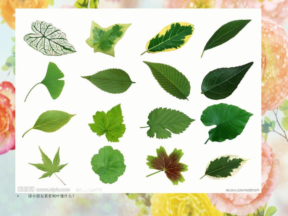 中班美术《给树叶化妆穿新衣》PPT课件教案PPT课件.ppt_第3页