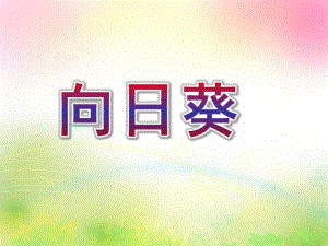 中班美术欣赏活动《向日葵》PPT课件教案中班美术欣赏活动：《向日葵》.ppt